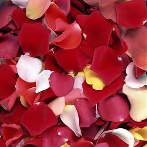 Лепестки роз (пакет)