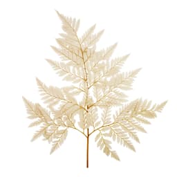 Лист папоротника стабилизированный , кофейный