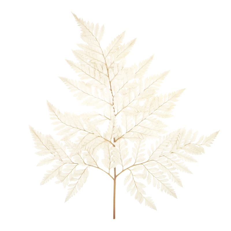 Лист папоротника стабилизированный