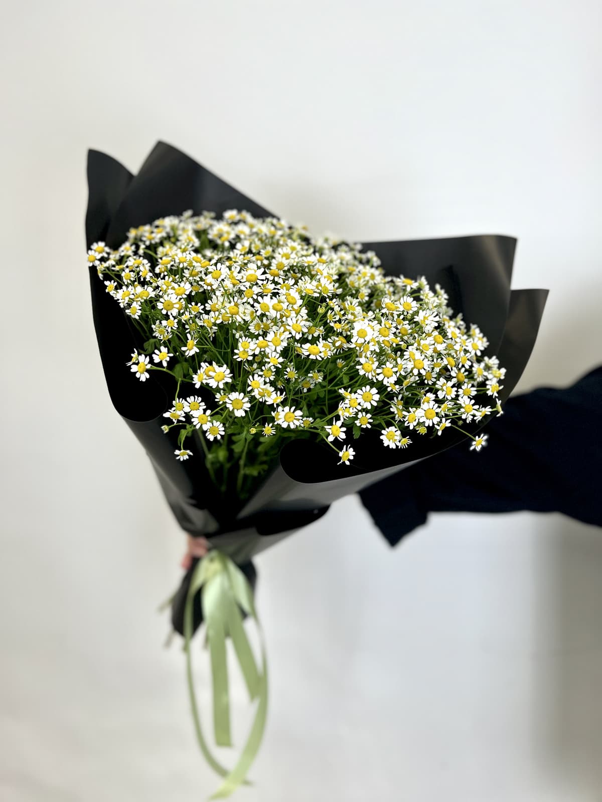 Моно букет из 17 Ромашек в матовой бумаге