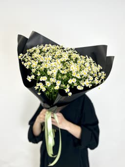 Моно букет из 17 Ромашек в матовой бумаге