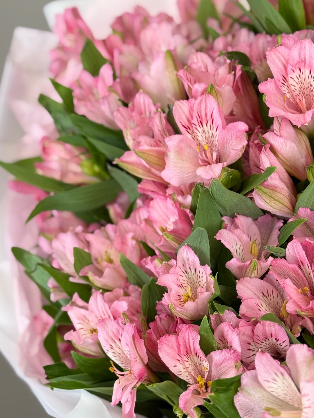 Оригинальный букет из 15 альстромерий "Primadonna"