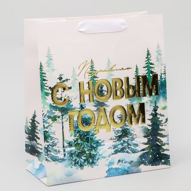 Пакет подарочный новогодний ламинированный, конгревное тиснение «С Новым годом», ML 23×27×11.5 см Пакет подарочный новогодний ламинированный, конгревное тиснение «С Новым годом», ML 23×27×11.5 см