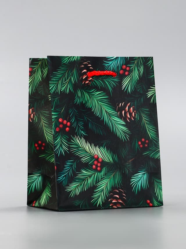Пакет подарочный новогодний ламинированный, «Шишки», 11.5×6.5×14.5 см Пакет подарочный новогодний ламинированный, «Шишки», 11.5×6.5×14.5 см