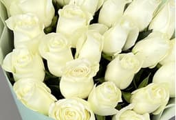 Роза белая стандарт 50 см по акции от 51 шт