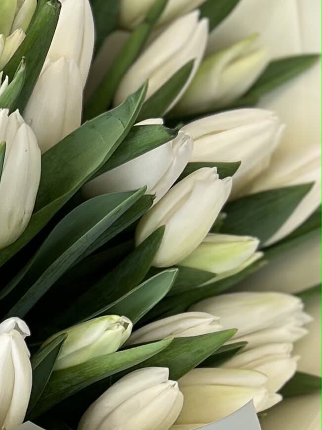 Сет "Тюльпаны + шоколад"