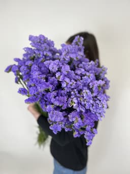 Зелень: Статица