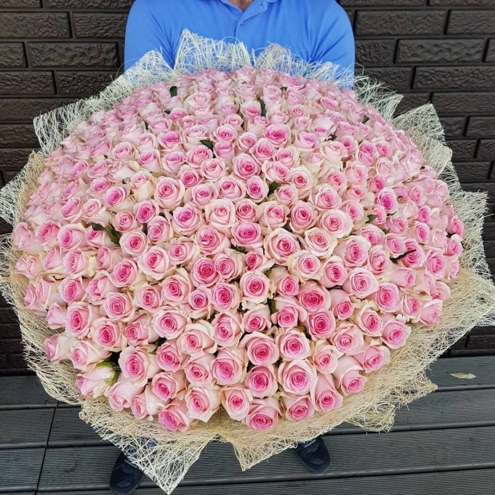 Букет из 201 розовой Розы Эквадор в сизале 60 см